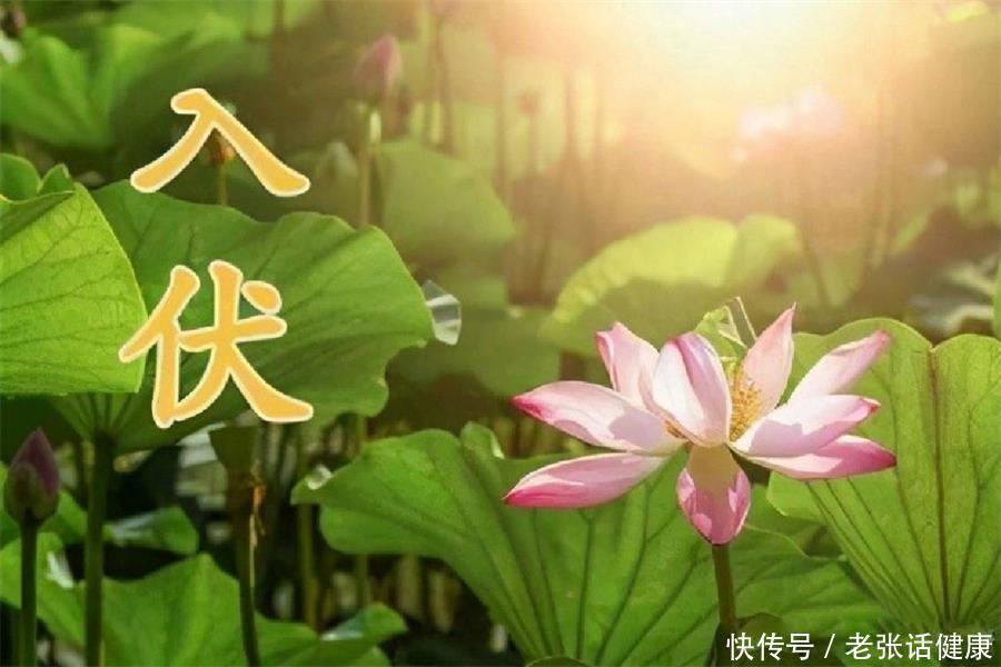 入伏第一天注意哪些事项(入伏后，少做3件事，注意3个细节，或能助你安然度过酷夏)