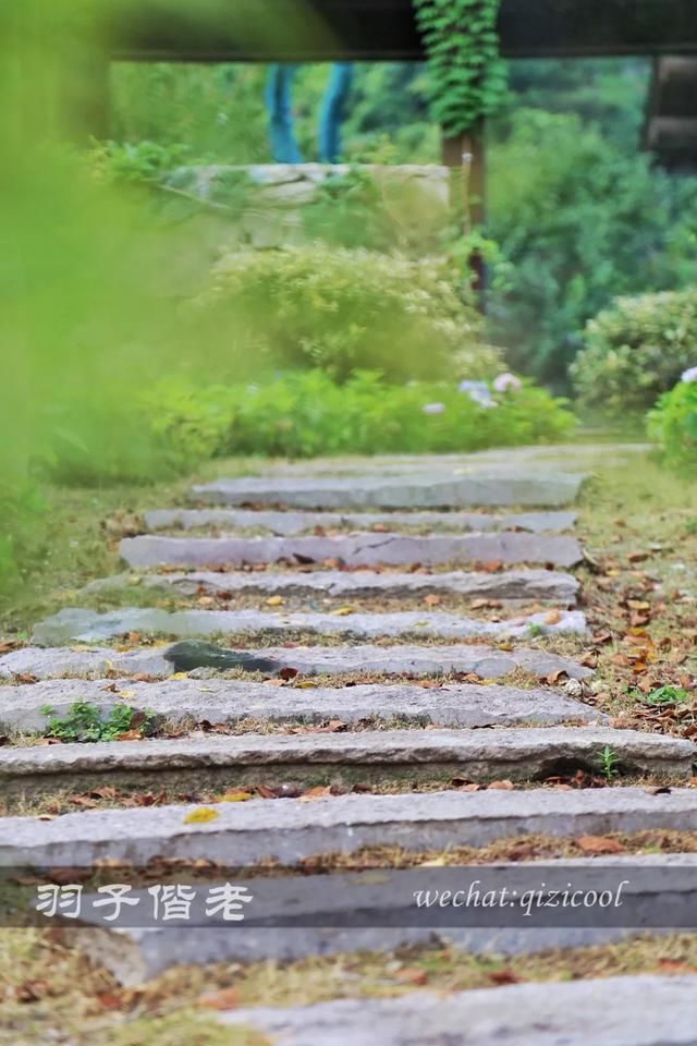 仙气|穿上汉服穿越时空，这个葛仙村果然有“仙气”