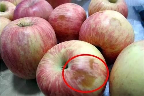  坏桃|赵丽颖以身试法“坏桃不能吃”，只坏了一点的水果，只能扔掉吗？