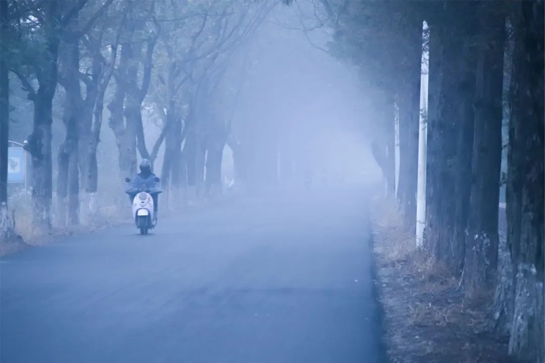 天夜间到|大雾黄色预警!降温6~8度!下周雾、霾、冷空气、大风都配齐了