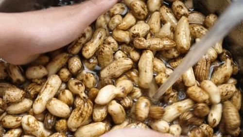  入味|盐水花生多数人第一步就煮错了，学会3招，花生干净入味还省煤气