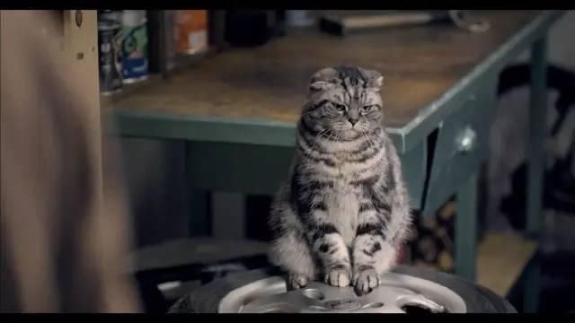  我么|这广告，拍的不就是想太美的我么