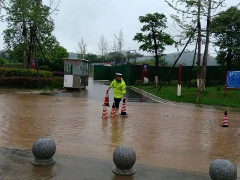  保平安|暴雨倒树致路断，警民行动保平安