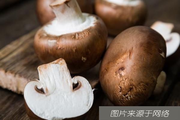  养颜|聪明人喜欢吃3种食物，排毒养颜、降糖降脂，还能提高免疫！