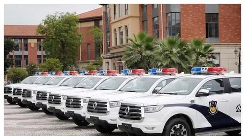  气势|国产长城炮换上警用涂装，外观霸气气势十足，网友：扬眉吐气了