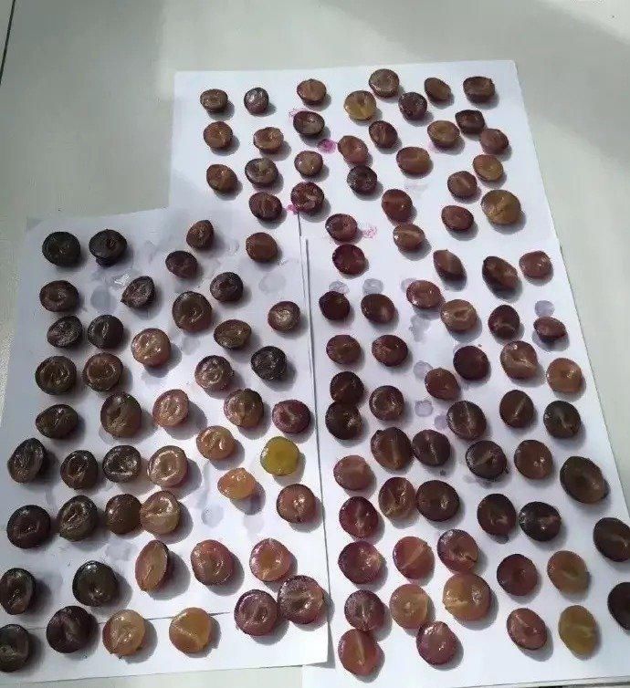 没输|“论家庭地位，我就从来没输过！”哈哈哈算不算给男人长脸了？