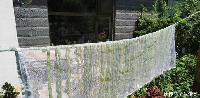  晾干|这才是晾干豆角最正确的做法，只需简单3步，储存一年都不会坏