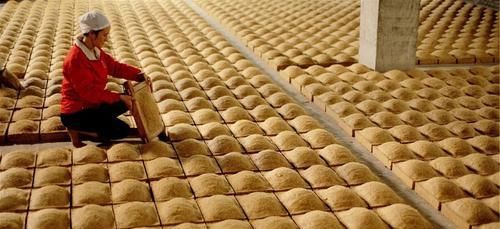 更好|大曲酒和小曲酒到底有什么区别?哪个更好喝?