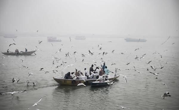 受伤|受伤的文明:印度