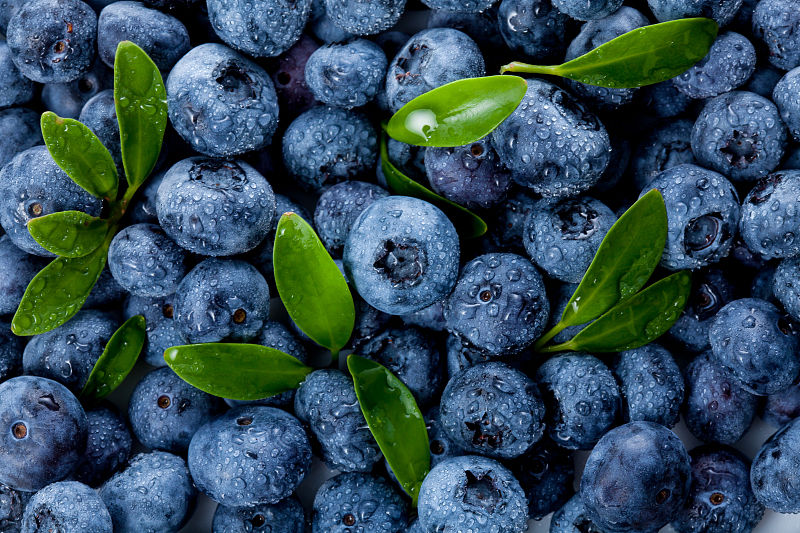  抓获|园内蓝莓屡屡被盗，警方快侦快破抓获窃贼