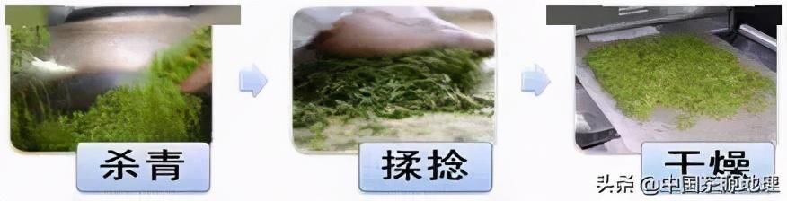 指南|一篇文章告诉你，新手如何区分六大茶类（附冲泡指南）