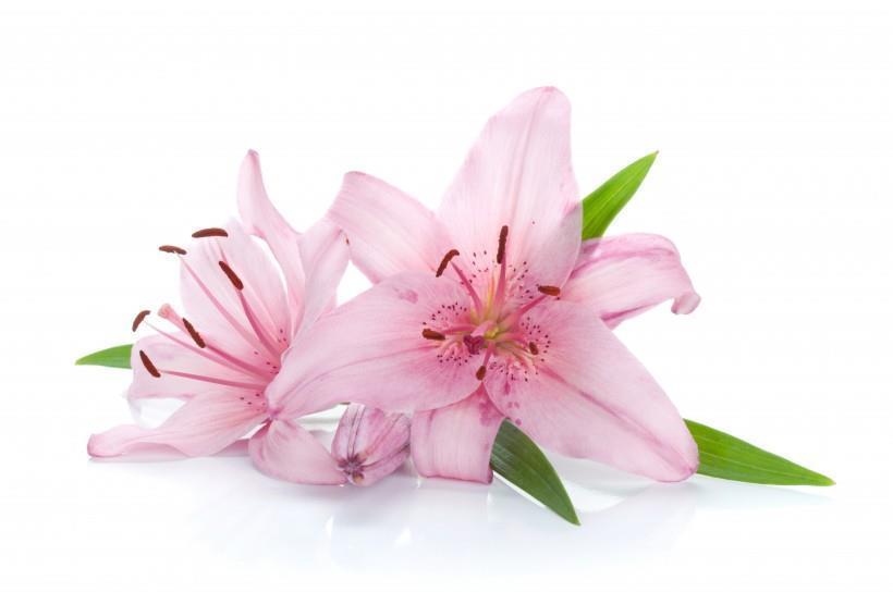 与日俱增|下周开始,3生肖迎来好运势,贵人提携,财运与日俱增!