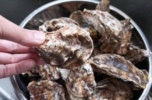  转身|买生蚝时, 聪明人看到这3种转身就走, 海鲜老板: 从不给家里人吃