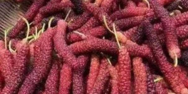  虫子|4种“脏”水果，用盐水洗3遍，还有虫子钻出来！你吃过几种呢？