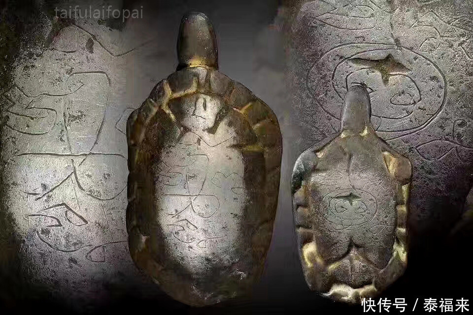  招财|【佛牌知识科普】龙婆蜀2460招财龟 神力之龟 帕亚道