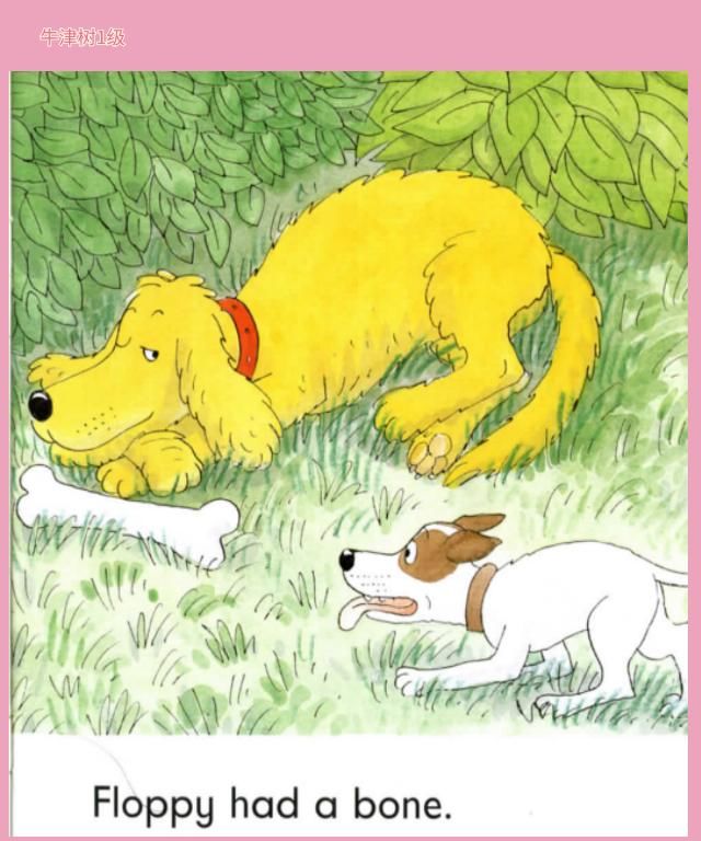  Floppy|牛津树绘本26 Floppy's Bone看故事学动词过去式