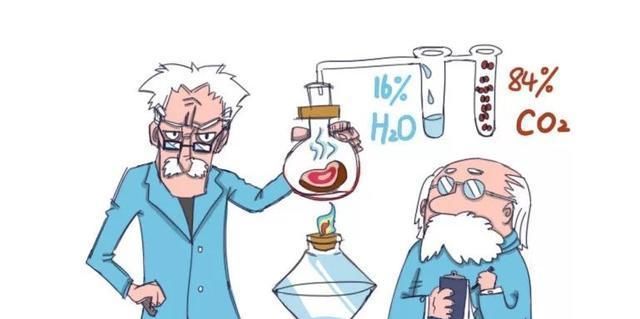  吃多|肉肉是怎么来的？怎么减掉的？｜能看懂的人都瘦了……