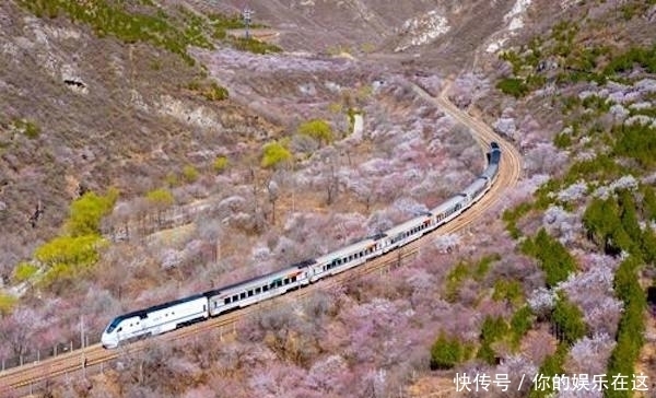 国内游|影视剧捧红的这些国内游打卡地点，你去了几个？