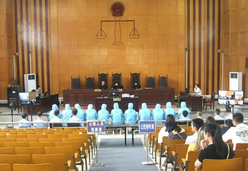  一审|何某等人涉恶案在桐一审宣判