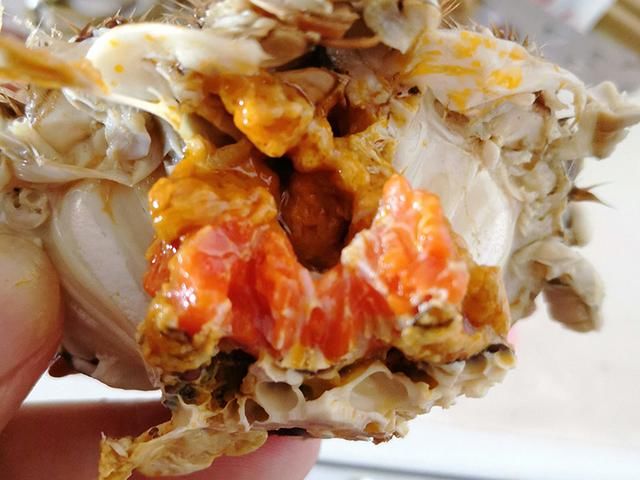 公斤|大闸蟹多少钱一公斤