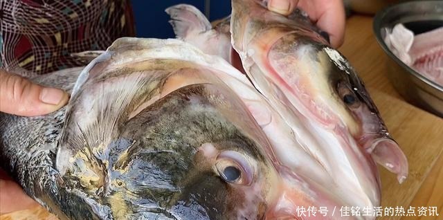 鱼头|原来鱼身上“最贵”的部位是它,很多人白给都不要,懂的人抢着买