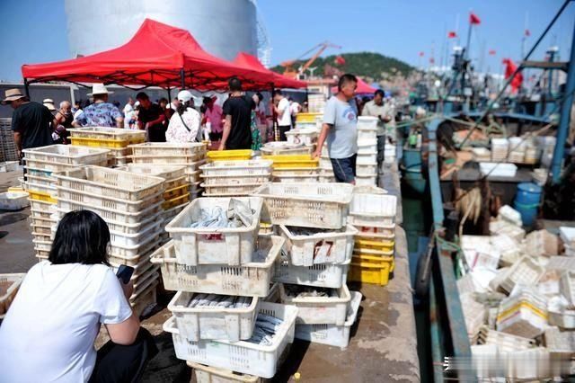 开海|开海后大渔船回来 海鲜堆满码头 价格比禁渔期便宜不少