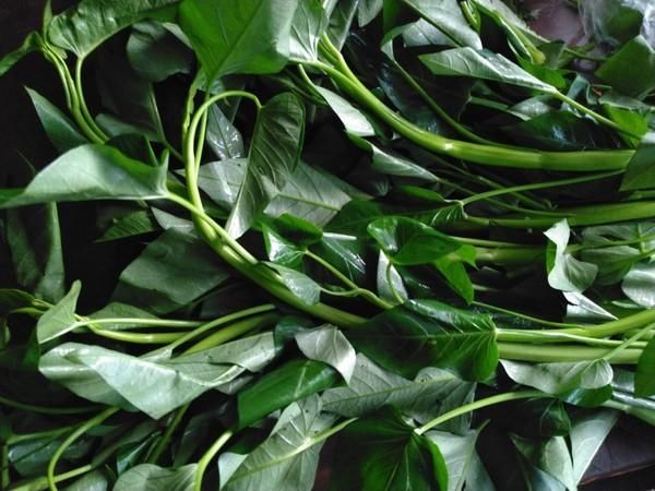 排毒|看到江疏影在《三十而已》中的减肥餐,回家吃了几天,排毒又养颜