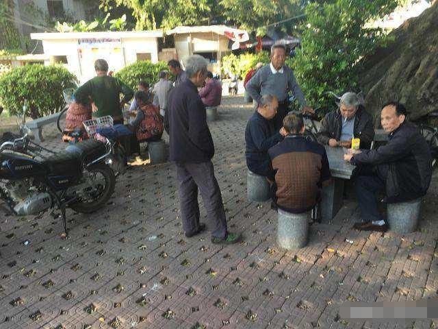  时间|在农村你们每天都想干点什么来消遣时间呢？