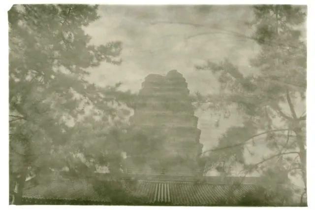  停用|摄影圈｜佳能宣布所有新产品停用两个术语 / 女摄影师凭水中拍鸟成北美打鸟第一人