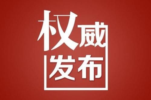  物理试题|权威发布！2020山东新高考物理试题及答案