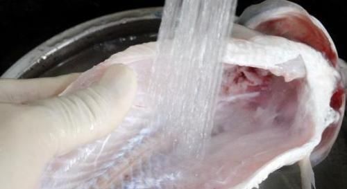 源头|剃掉“鱼腥线”,大错特错,这4处才是腥味源头,处理好做鱼更鲜