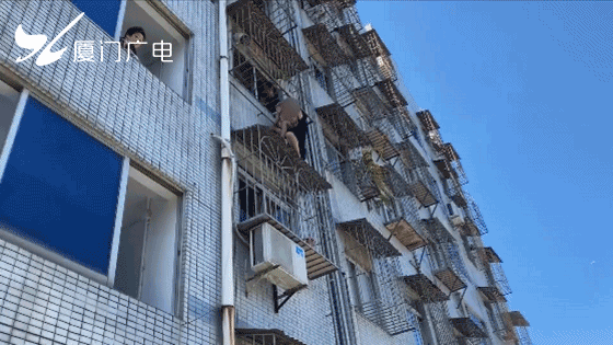  孩子|突发！厦门一男童6楼爬窗跌落，悬在空中！危急时刻…