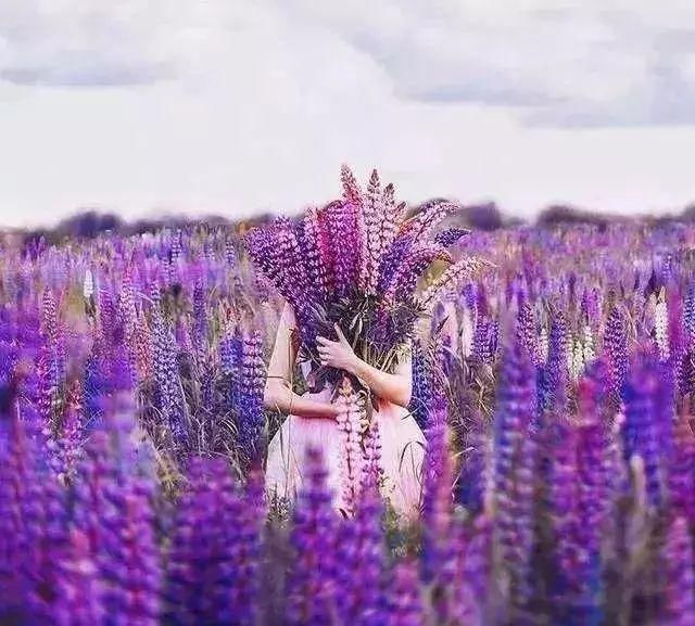  你变得更|爱上旅行的你，果然变了！