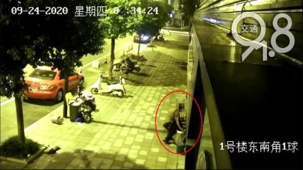 出门|杭州一大爷凌晨出门采了朵花!网友感叹:别侮辱爱情了!