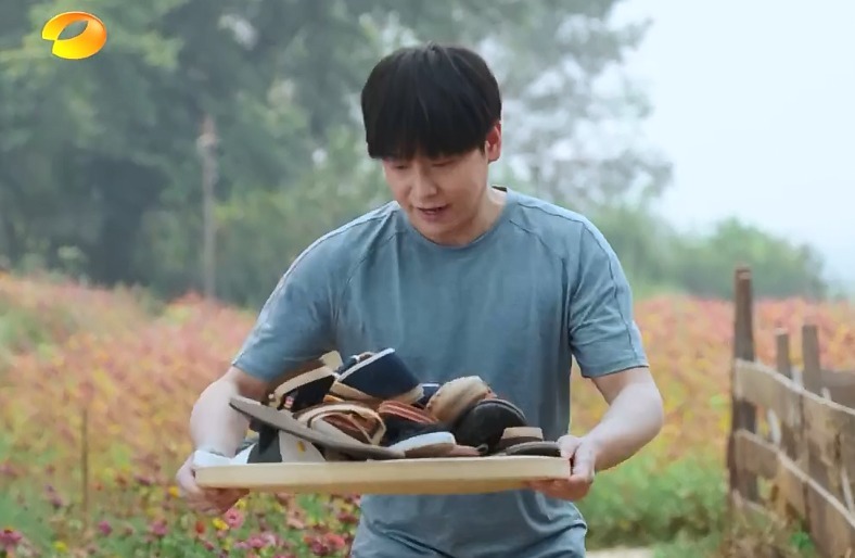  画风|《向往4》更新宣传片，张子枫扛梯子飞奔，蘑菇屋画风跑偏太沙雕