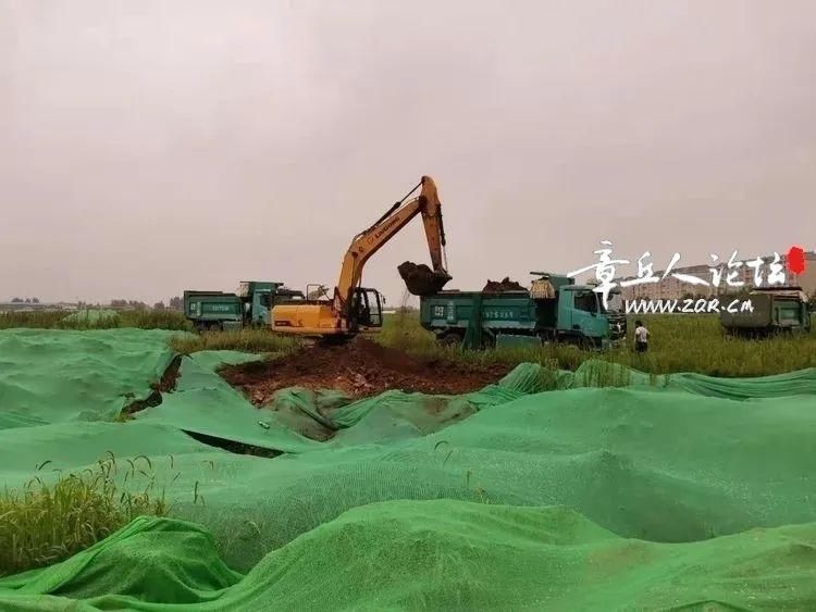 板钢筋绑扎完成|章丘安置房建设最新进展?（7月24日）