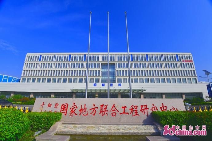  企业|填补国内空白！青岛高新区企业干细胞新药获批临床