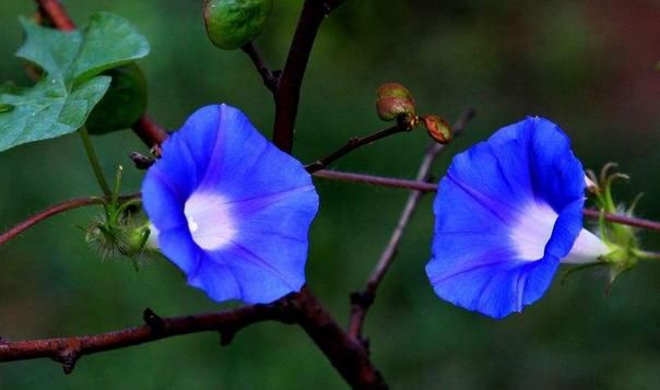 祥兆|身上出现这三个祥兆，说明你要开始走上坡路，赚大钱的机会来了