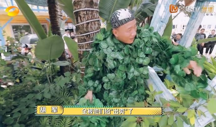  撑起|王耀庆，撑起了《元气满满的哥哥》百分之八十的笑点