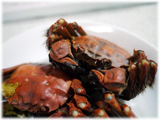 合适|大闸蟹蒸几分钟合适?记住这几个技巧,螃蟹肉嫩不柴不寒,超鲜美