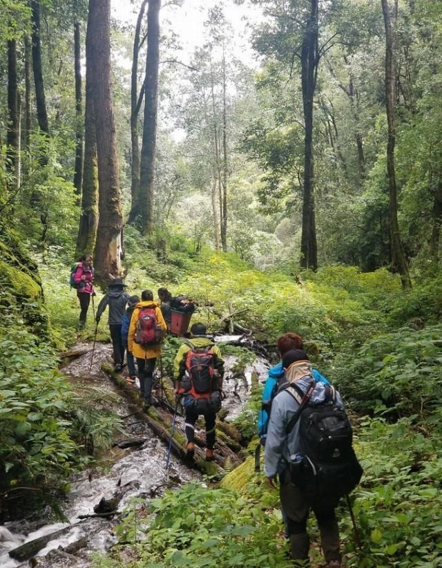 攻略|无深度不云南——丽江巴拉神山徒步穿越攻略
