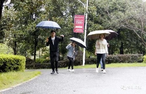 竞赛活动|邵东法院开展迎国庆环园健步竞赛活动