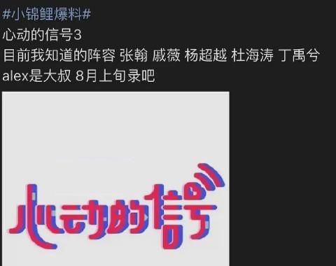  搭档|杨超越资源有多好？《完美的夏天》还未播，又搭档丁禹兮录新综艺