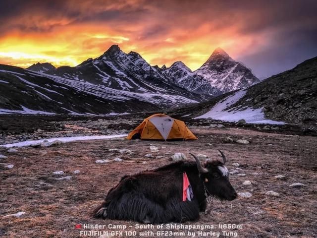  海拔|去了希夏邦马，你就看不上珠峰了