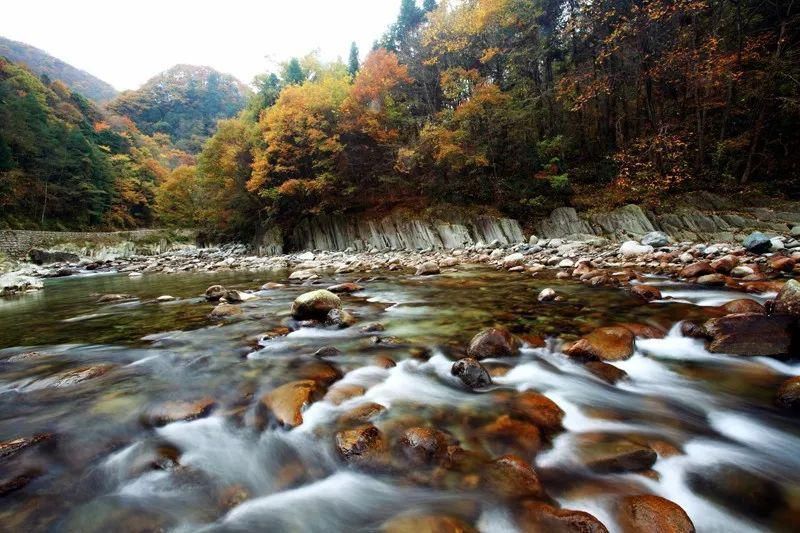  阴平古道|醉美唐家河，又见枫叶红~