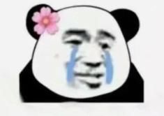 中老年人|中老年人防骗手册