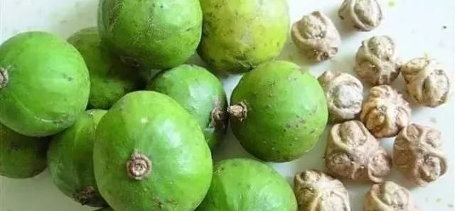  家里|人面子丨小时候爷爷家里的凉果