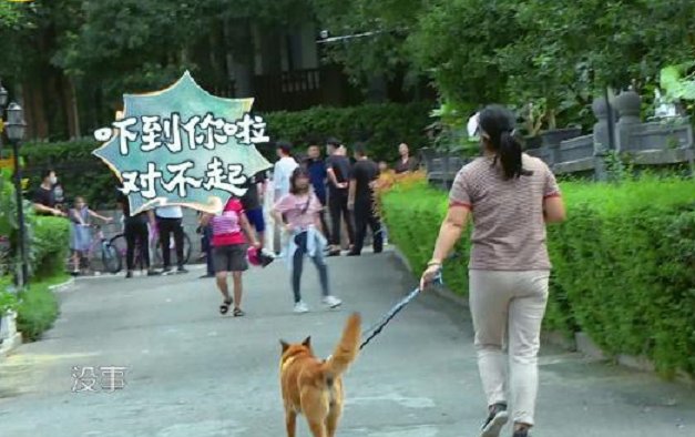  农村|《中餐厅》赵丽颖又翻车了？农村出身却被狗追着跑，网友称其太假