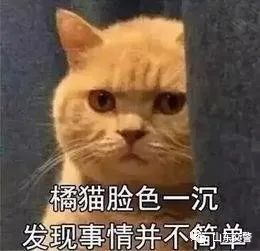  现场|提醒！撞坏护栏千万别溜，小心构成肇事逃逸！| 一线微观