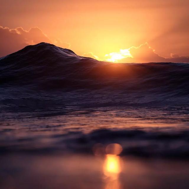  澳大利亚|世界上最浪的男人，浪了11年却得到18万人的喜爱